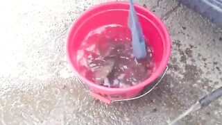 Плотва возвращается в донецкое водохранилище: считаю улов до двадцати девяти