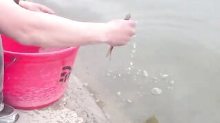 Плотва возвращается в донецкое водохранилище: считаю улов до двадцати девяти
