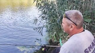 Северский Донец под Луганском: как фидер учит терпению на траве и ракушке