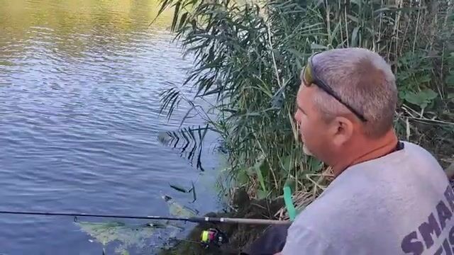 Северский Донец под Луганском: как фидер учит терпению на траве и ракушке