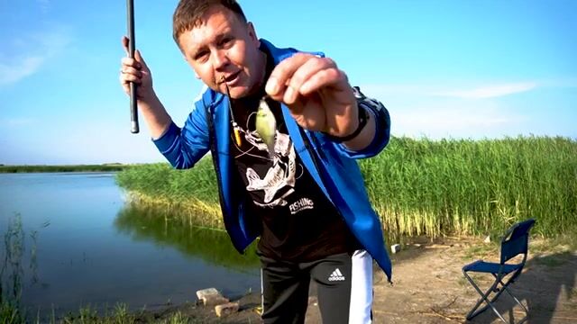 Платник под Луганском, кукуруза со сливой и синхронная поклёвка на оба крючка