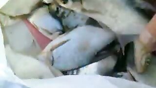 Подлещик капризничает: ставим фидер на донецком водохранилище правильно