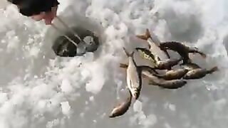 Луганск, тихая заводь и поплавок, который замер перед самым рассветом