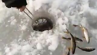 Луганск, тихая заводь и поплавок, который замер перед самым рассветом