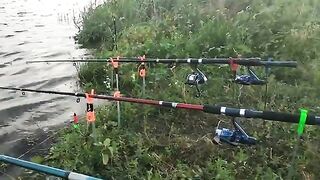 Ночёвка на Донецком море в конце июня: лебеди, костёр и колокольчики до рассвета