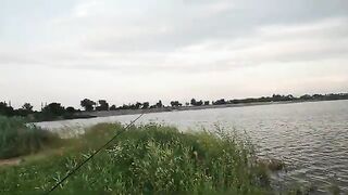 Ночёвка на Донецком море в конце июня: лебеди, костёр и колокольчики до рассвета