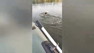 20 августа Донецкое море и правда порадовало: разбор, где стоял окунь и судак