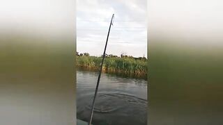 20 августа Донецкое море и правда порадовало: разбор, где стоял окунь и судак