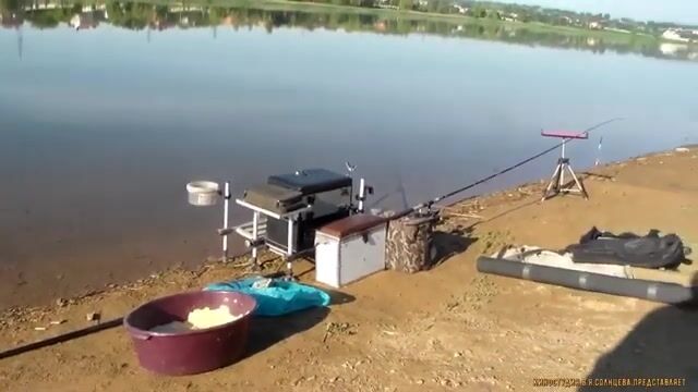 Матчевая удочка, дальний заброс и плотва у камыша донецкого водохранилища