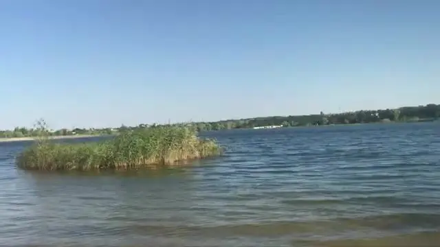 Донецкое море открывает сезон: камыш, лебеди и первый заброс