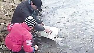 Зарыбление донецкого водохранилища: восемьдесят пять кило карася в воду
