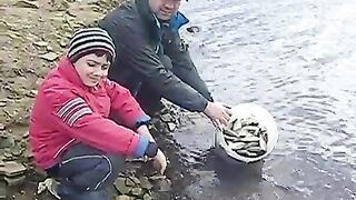 Зарыбление донецкого водохранилища: восемьдесят пять кило карася в воду