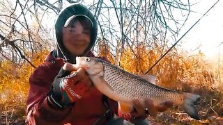 Вернулся в Луганск за судаком: три окуня на водохранилище и щука на Донце