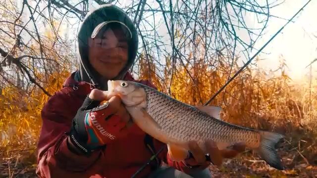 Вернулся в Луганск за судаком: три окуня на водохранилище и щука на Донце
