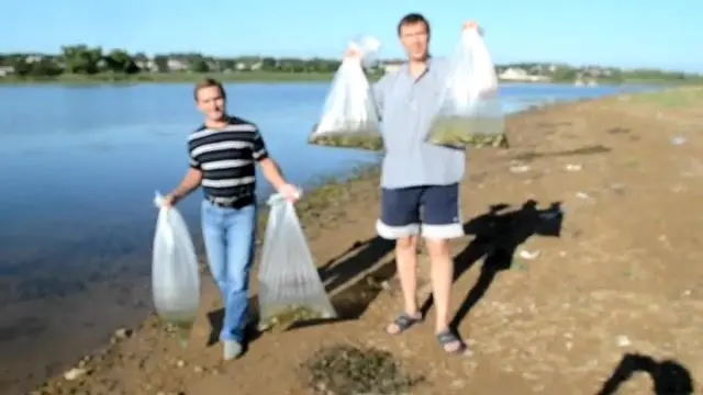 Ищу активную рыбу на Донецком море: тактика жаркого июля