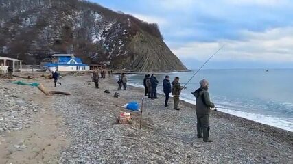 Полтора кило радужной форели с зимнего пруда под Архипо-Осиповкой