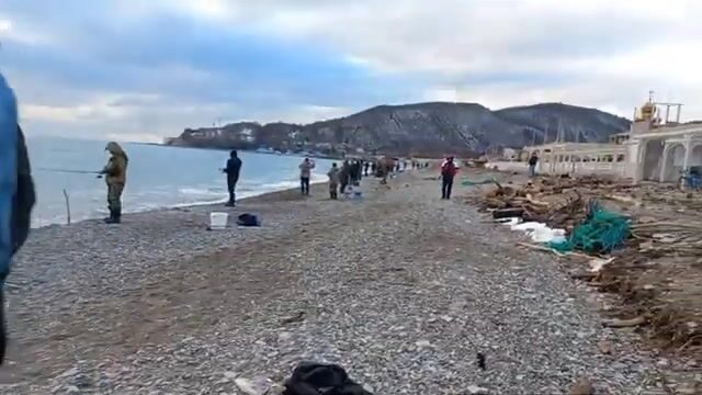 Полтора кило радужной форели с зимнего пруда под Архипо-Осиповкой