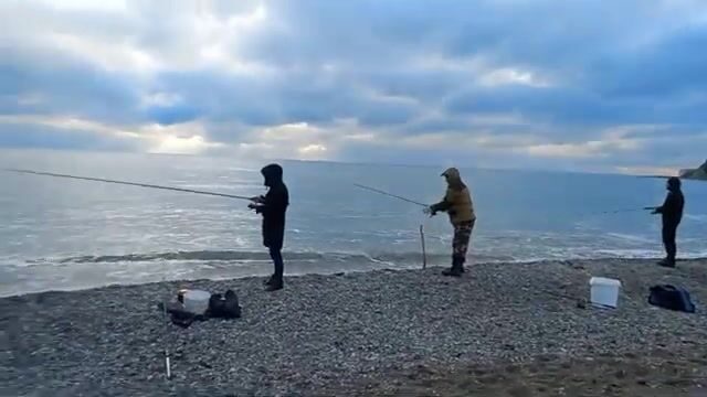 Полтора кило радужной форели с зимнего пруда под Архипо-Осиповкой