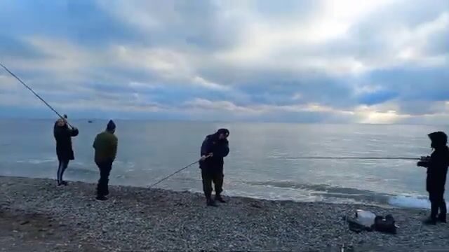 Полтора кило радужной форели с зимнего пруда под Архипо-Осиповкой