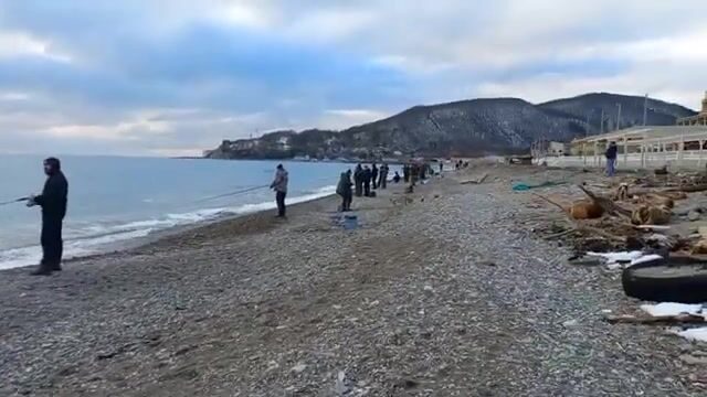 Полтора кило радужной форели с зимнего пруда под Архипо-Осиповкой