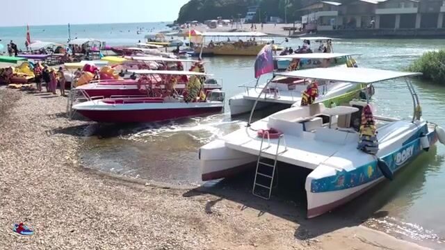 Голавль под нависшими кустами горной речки Вулан в Архипо-Осиповке