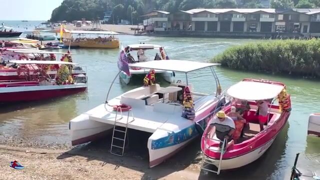 Голавль под нависшими кустами горной речки Вулан в Архипо-Осиповке