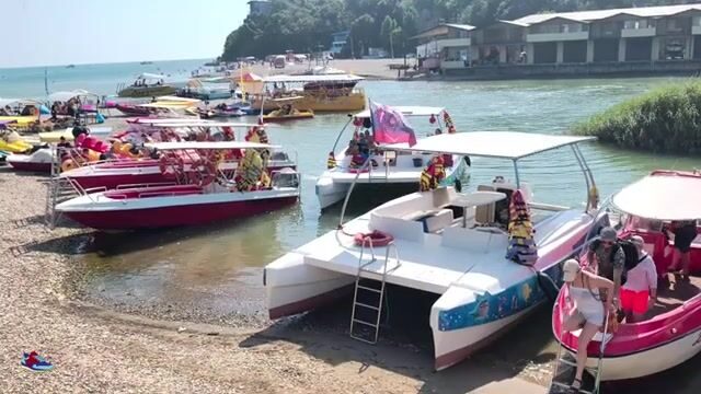 Голавль под нависшими кустами горной речки Вулан в Архипо-Осиповке