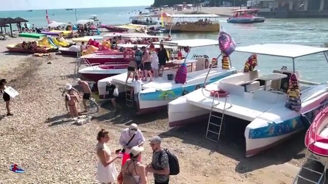Голавль под нависшими кустами горной речки Вулан в Архипо-Осиповке