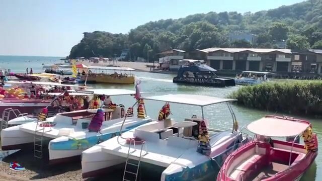 Голавль под нависшими кустами горной речки Вулан в Архипо-Осиповке