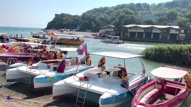 Голавль под нависшими кустами горной речки Вулан в Архипо-Осиповке