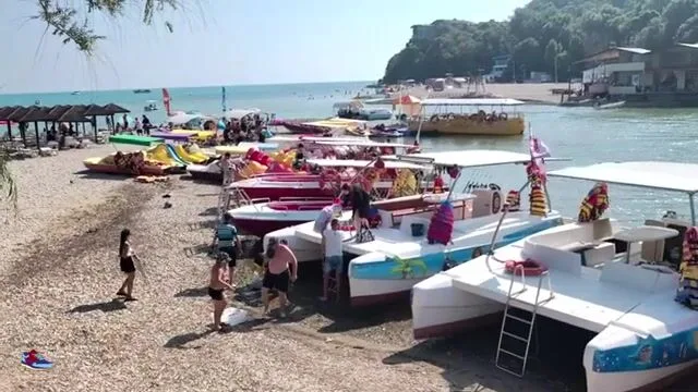 Голавль под нависшими кустами горной речки Вулан в Архипо-Осиповке