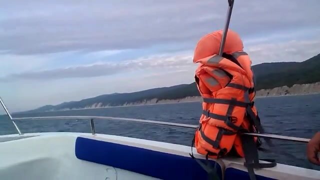 Почему сарган выходит на свет: ночь у берега Архипо-Осиповки