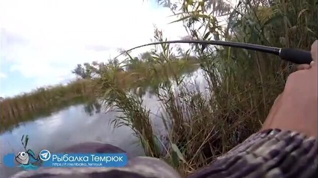 Обводной канал под Голубицкой: гоняю щурят вертушкой по окнам