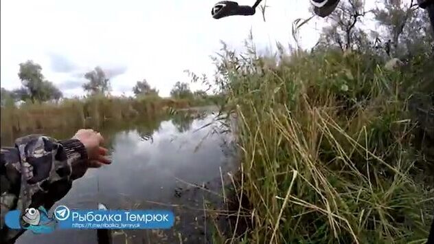 Обводной канал под Голубицкой: гоняю щурят вертушкой по окнам