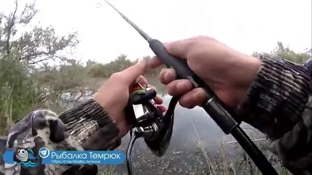 Обводной канал под Голубицкой: гоняю щурят вертушкой по окнам