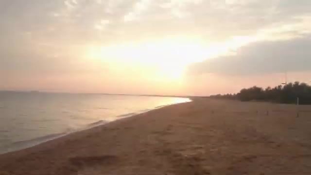 Азовский ил у Голубицкой добавляет тарани аппетита