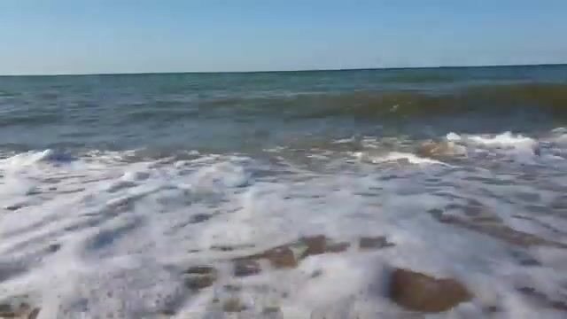 Азовский ил у Голубицкой добавляет тарани аппетита