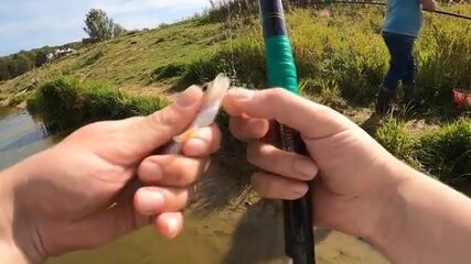 Как мы наловили малька хлебом и подняли окуня со щукой на Сергиево-Посадском пруду
