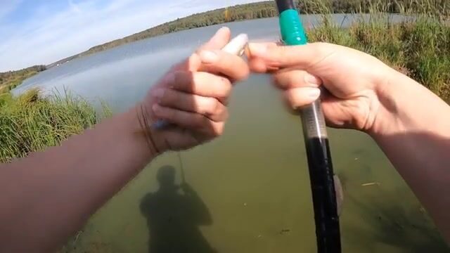 Как мы наловили малька хлебом и подняли окуня со щукой на Сергиево-Посадском пруду