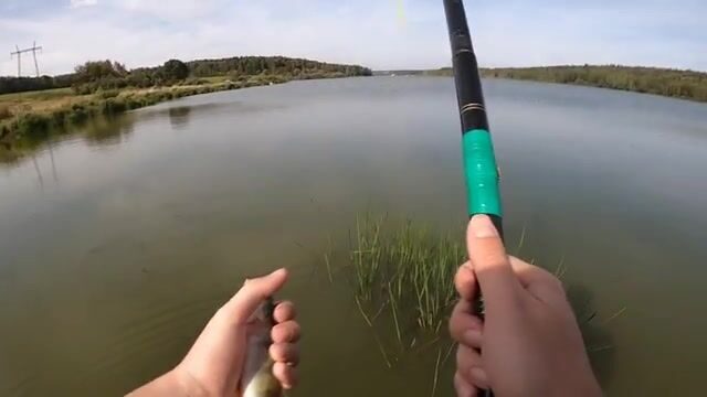 Как мы наловили малька хлебом и подняли окуня со щукой на Сергиево-Посадском пруду