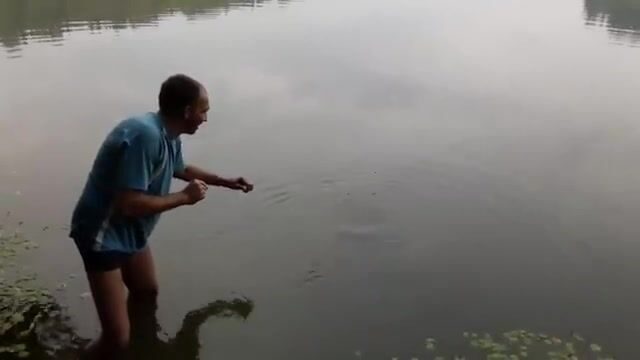 Платник под Сергиевым Посадом: трофейный карп и никаких иллюзий