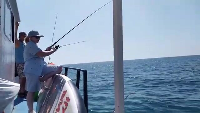 Серпантином от «Минутки» к морю: ставрида с борта прямо на угли под Лазаревской