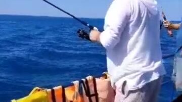 Стоит ли лазаревским рыбакам уходить в открытое море за ставридой?