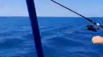 Стоит ли лазаревским рыбакам уходить в открытое море за ставридой?