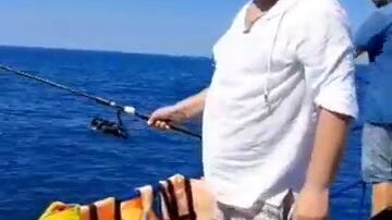 Стоит ли лазаревским рыбакам уходить в открытое море за ставридой?