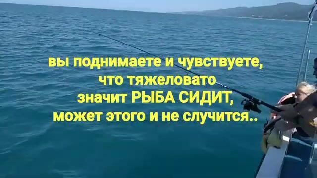 Первый раз в море под Лазаревским - инструктор поставил ритм, и пошла ставрида