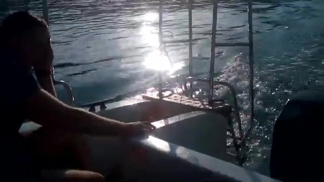 Не дельфин, а рыба - ставрида на пустой крючок близ Лазаревского