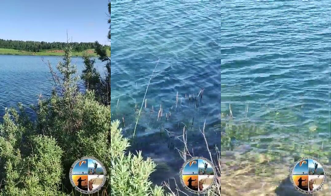 Ищи судака в нижнем бассейне Загорского моря у впадения Куньи
