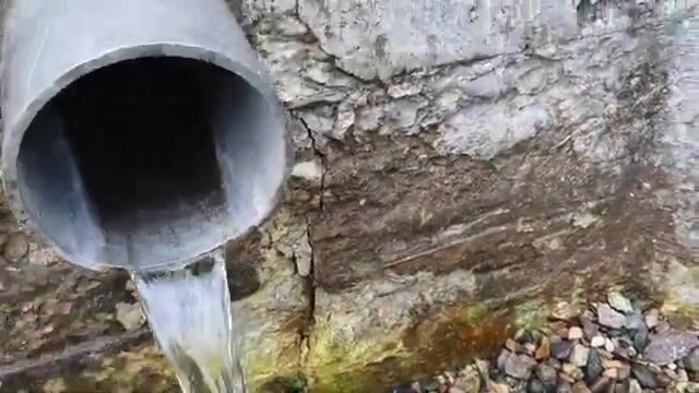 Девятое июня на Загорском море в Сергиевом Посаде: дождь и клёв у плотины