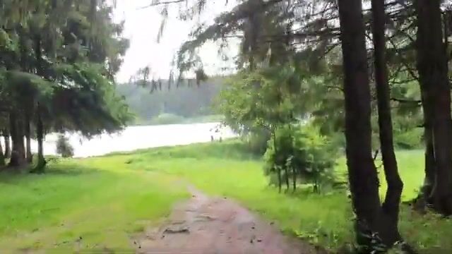 Девятое июня на Загорском море в Сергиевом Посаде: дождь и клёв у плотины